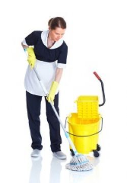 Barnes Cleaning Service SW13