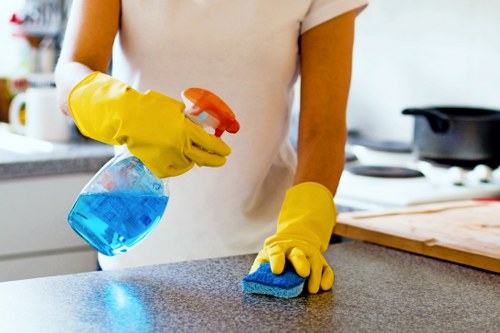 Cleaner in Barnes carrying out detailed household cleaning tasks