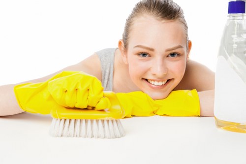 Deep carpet cleaning in Barnes using modern methods