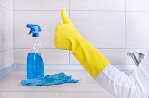 Professional cleaner reviewing service details before arrival