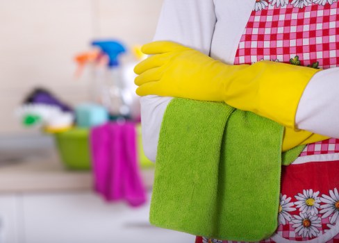 Specialist carpet cleaning process for a Barnes household