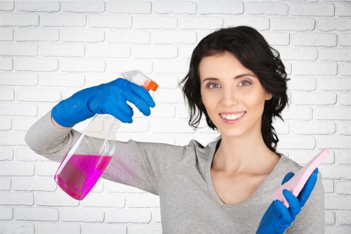 Residential and commercial window cleaning services in Barnes