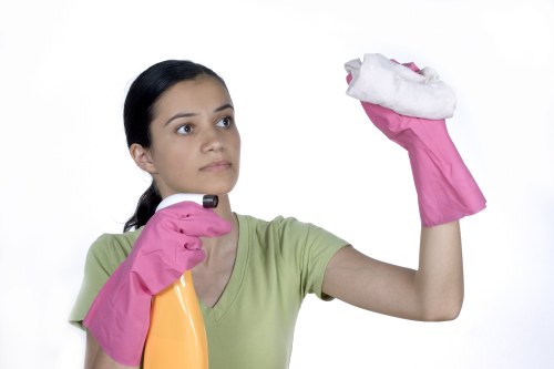 Eco-friendly home cleaners in Barnes providing detailed cleaning
