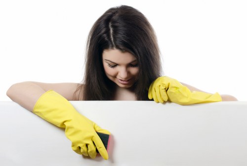Seasonal window cleaning in Barnes for clean and clear windows
