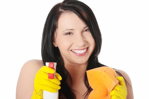 Domestic cleaning service in Barnes for a fresh and organised home