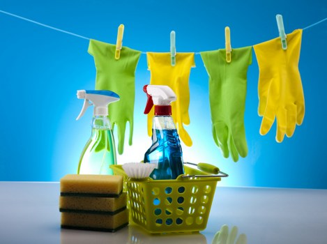 Staff carrying out a domestic cleaning appointment